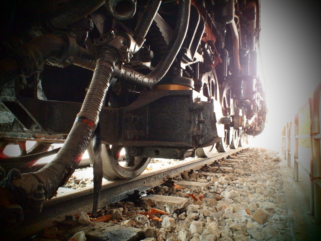 D51