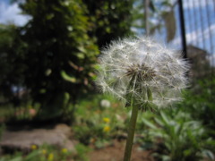 風を待ってる。