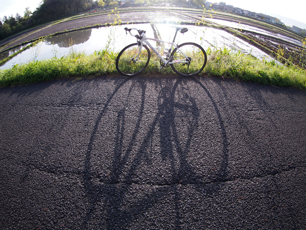 通勤時間を利用して