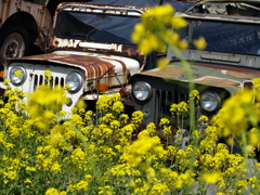 袖振り合うも多生の縁