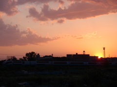 おうちに帰ろう。