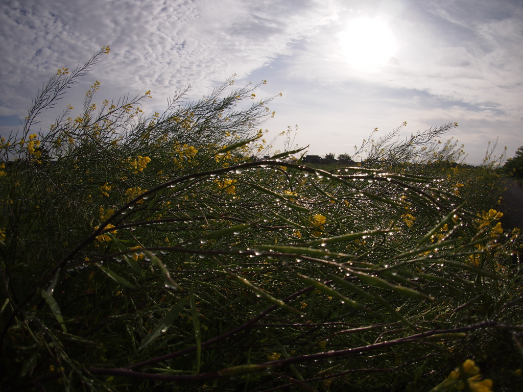 通勤時間を利用して＋