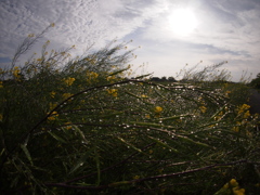 通勤時間を利用して＋