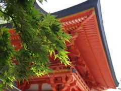 暑いっ！