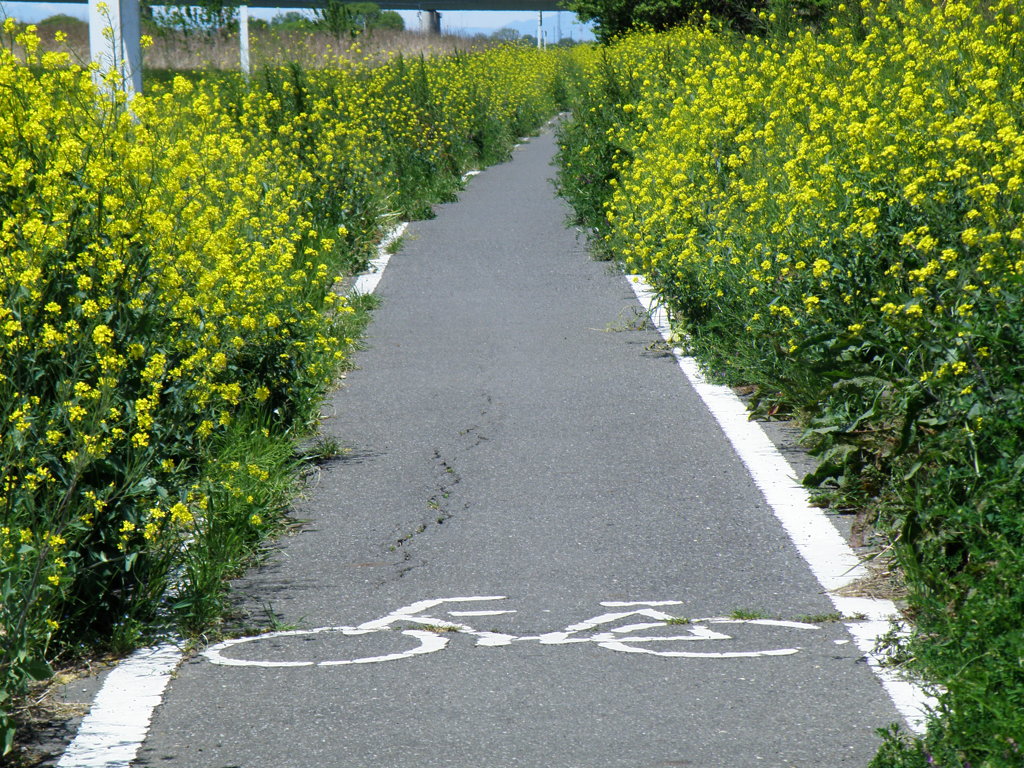 上尾サイクリングロード