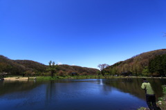 青と青の間で