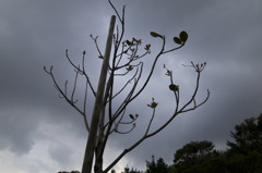 P2210282