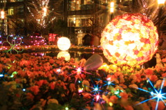 ひかりの花畑