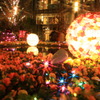ひかりの花畑