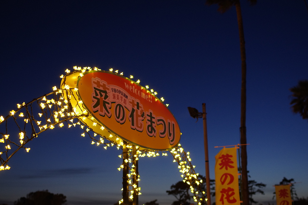 渥美半島　菜の花まつり