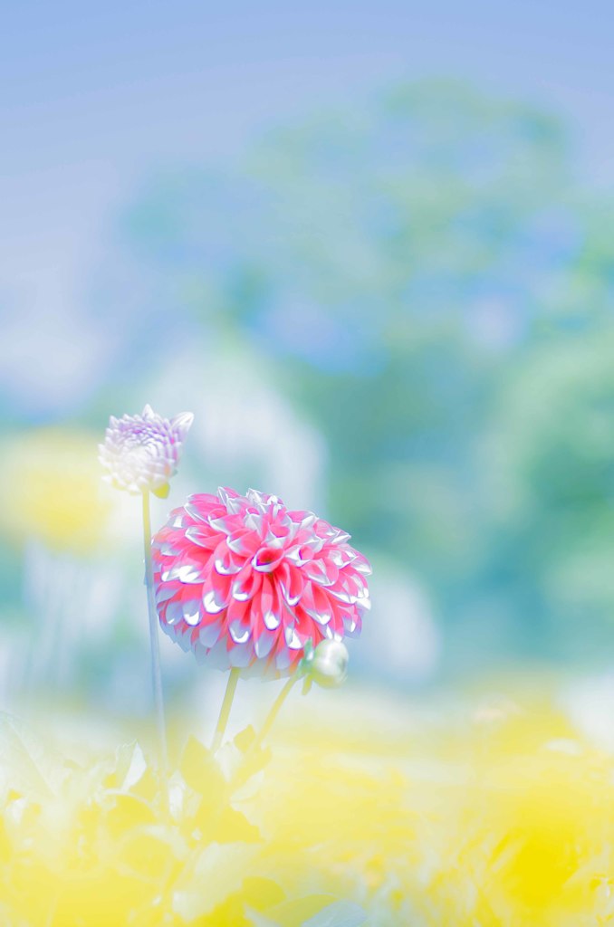 あぁ、いい天気