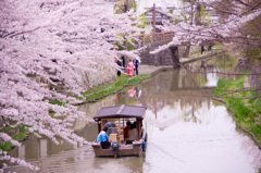 桜、舟、お嫁さん