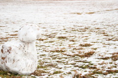 動き出す雪だるま