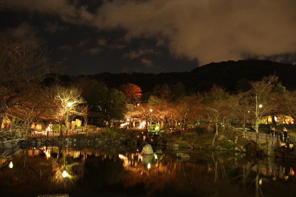 円山公園の灯り