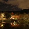 円山公園の灯り