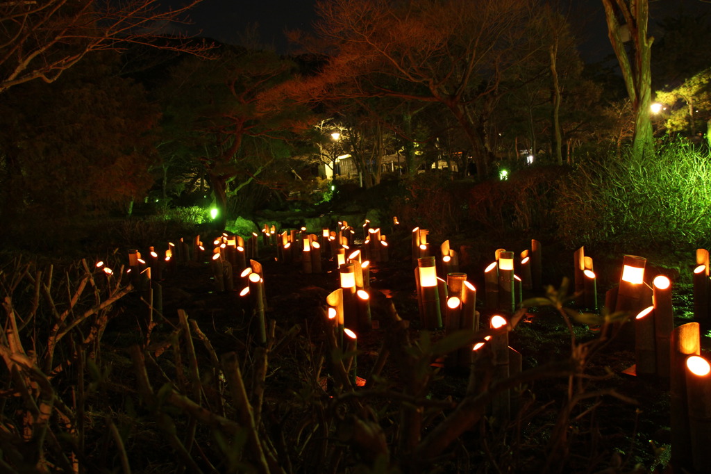 竹灯り・幽玄の川