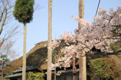 南禅寺に続く道