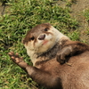 はぁい♪