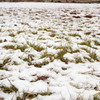 雪が並並