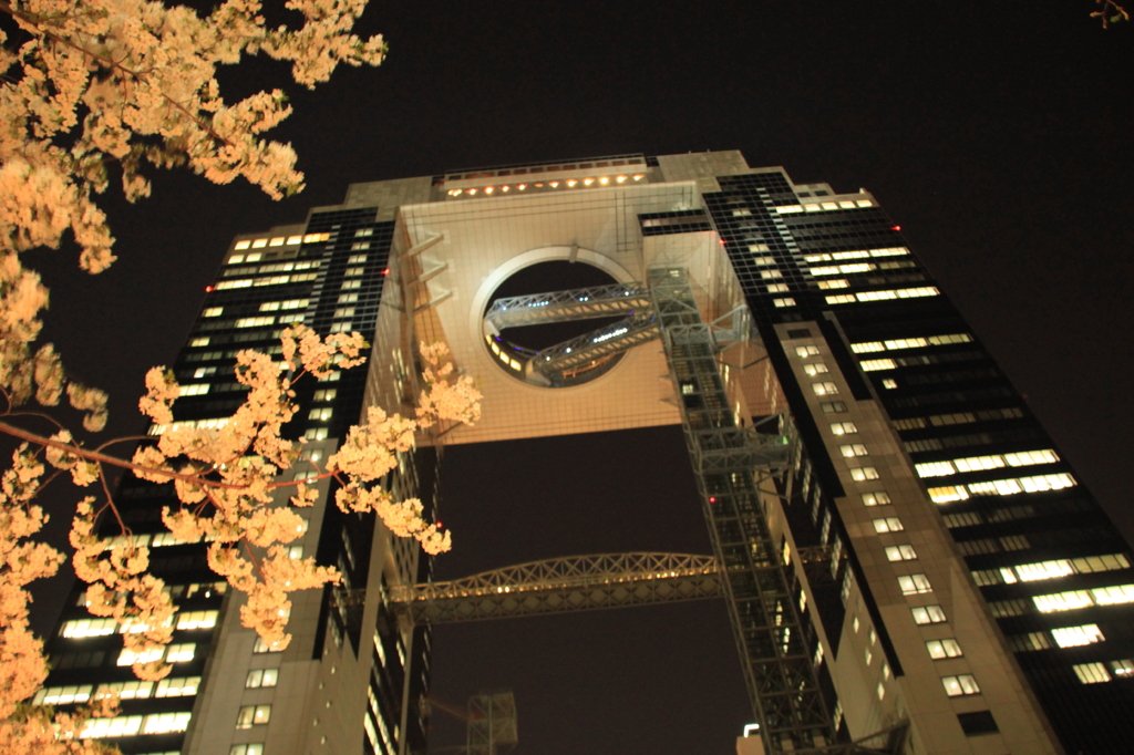 桜と空中庭園