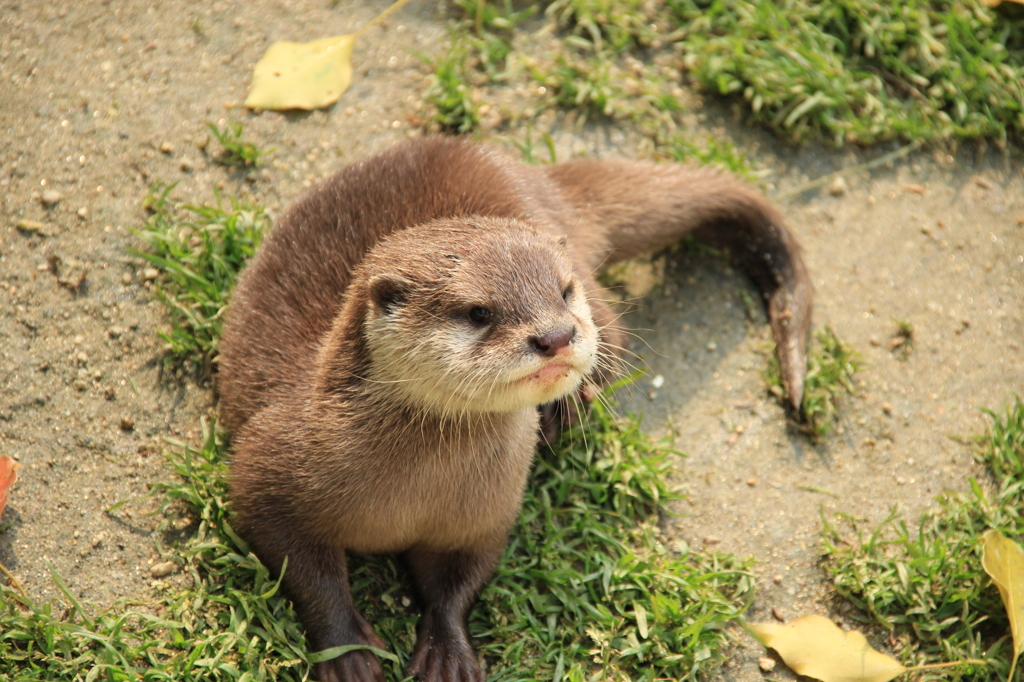 赤ちゃんですよ