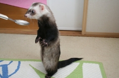 立つおとこ、くろお