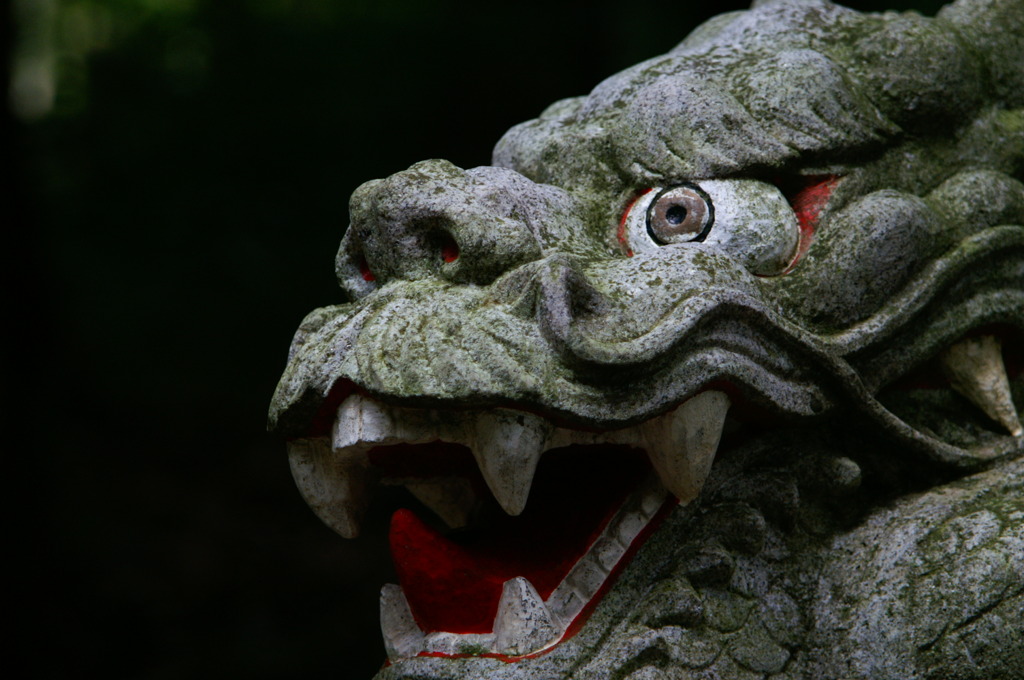 真名井神社の龍２