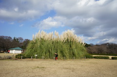 小さくなっちゃった！