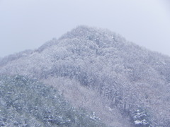 雪山