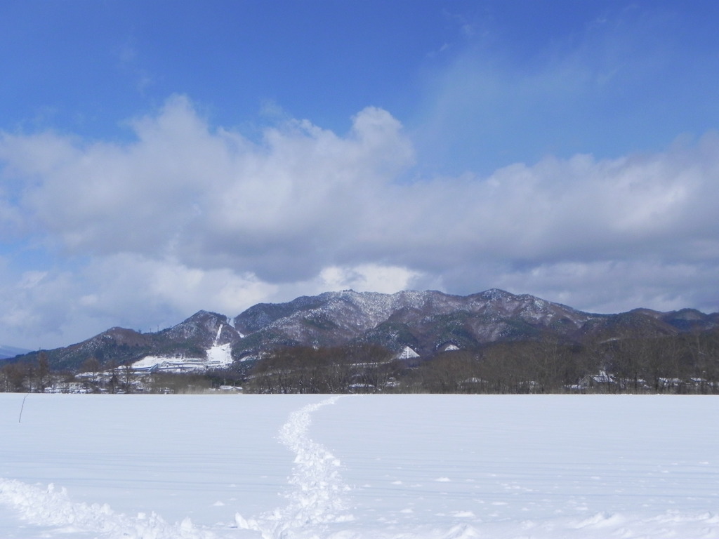 山へ続く道？