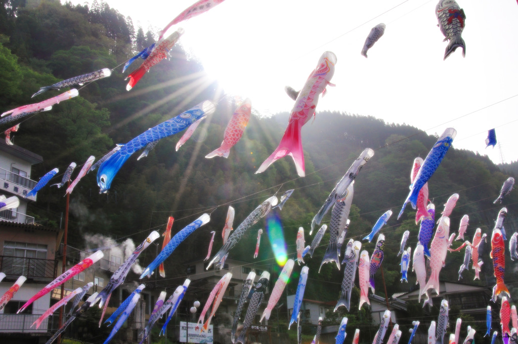 朝ノ光