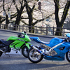 Ninja GSX