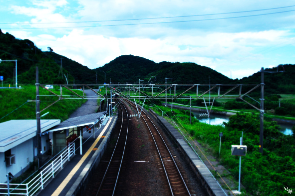 旅