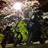 夜桜バイク