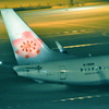 桜使用