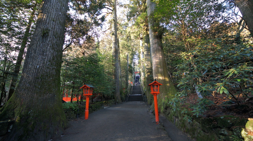 箱根神社その１