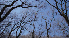 DSC00388