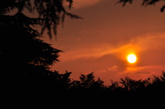 夕日