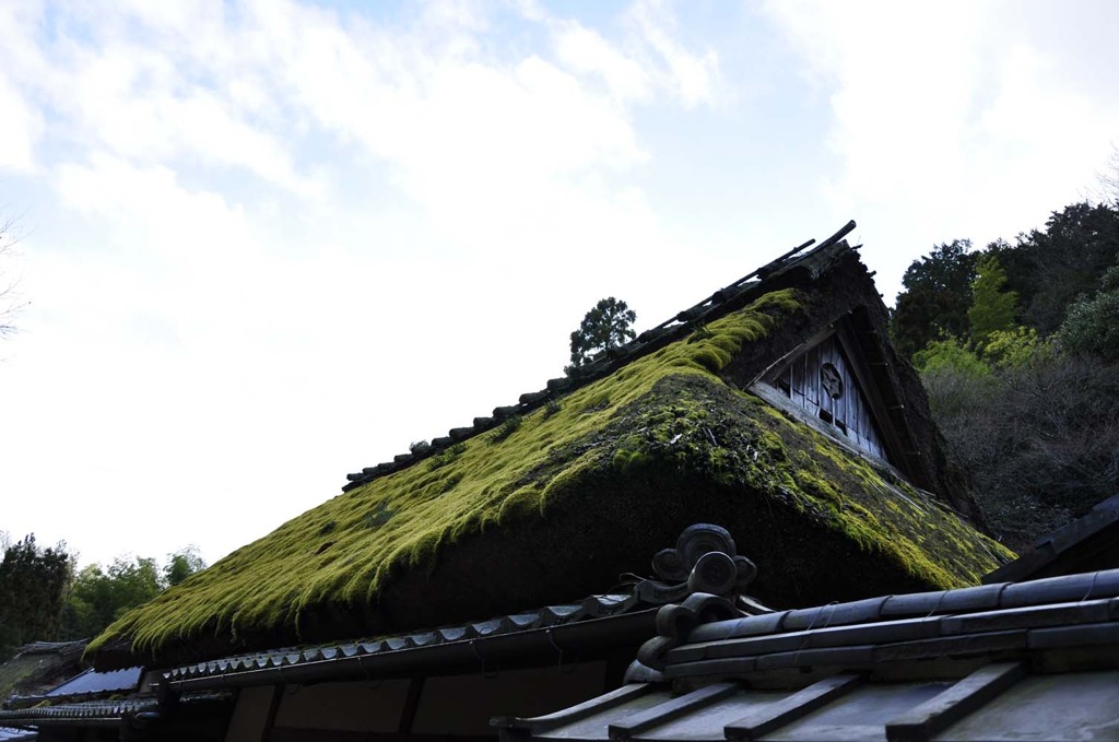 緑深き茅葺き