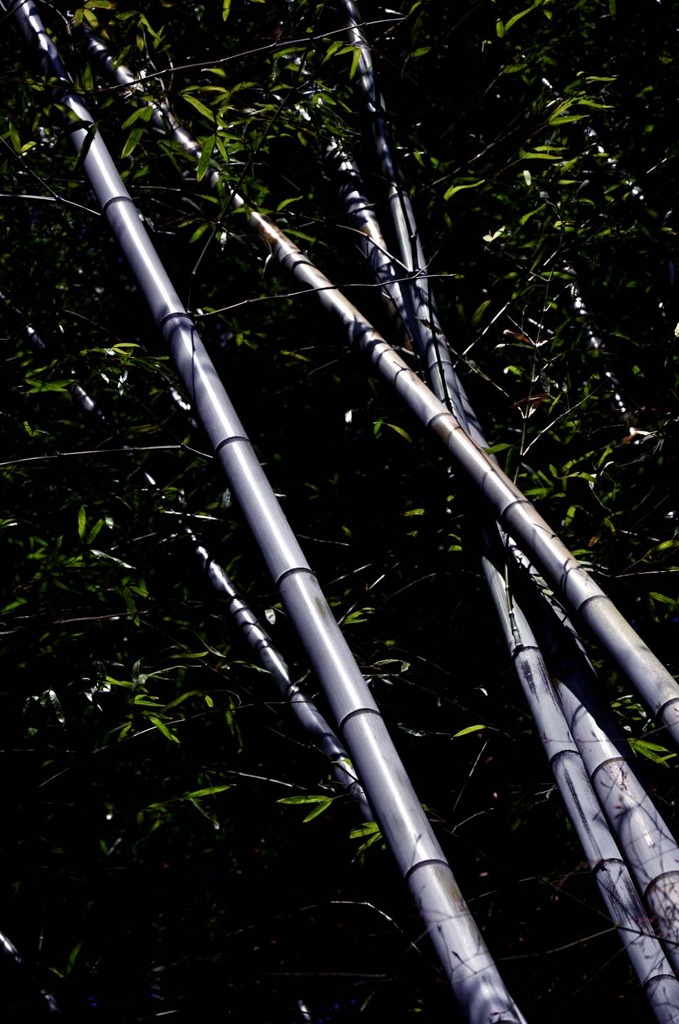 鋼の竹