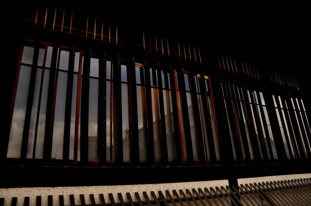 柵の向こうの世界