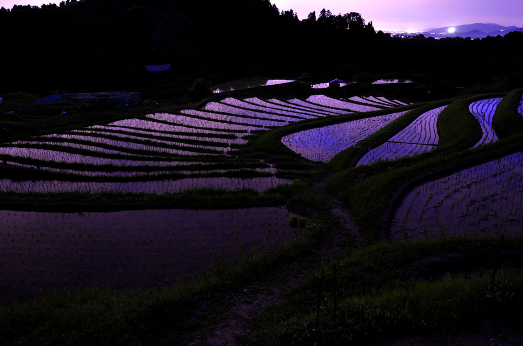 下赤坂の棚田・遠景