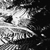 コントラスト -Hi-Fi-