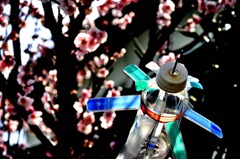 昭和の親しき知恵