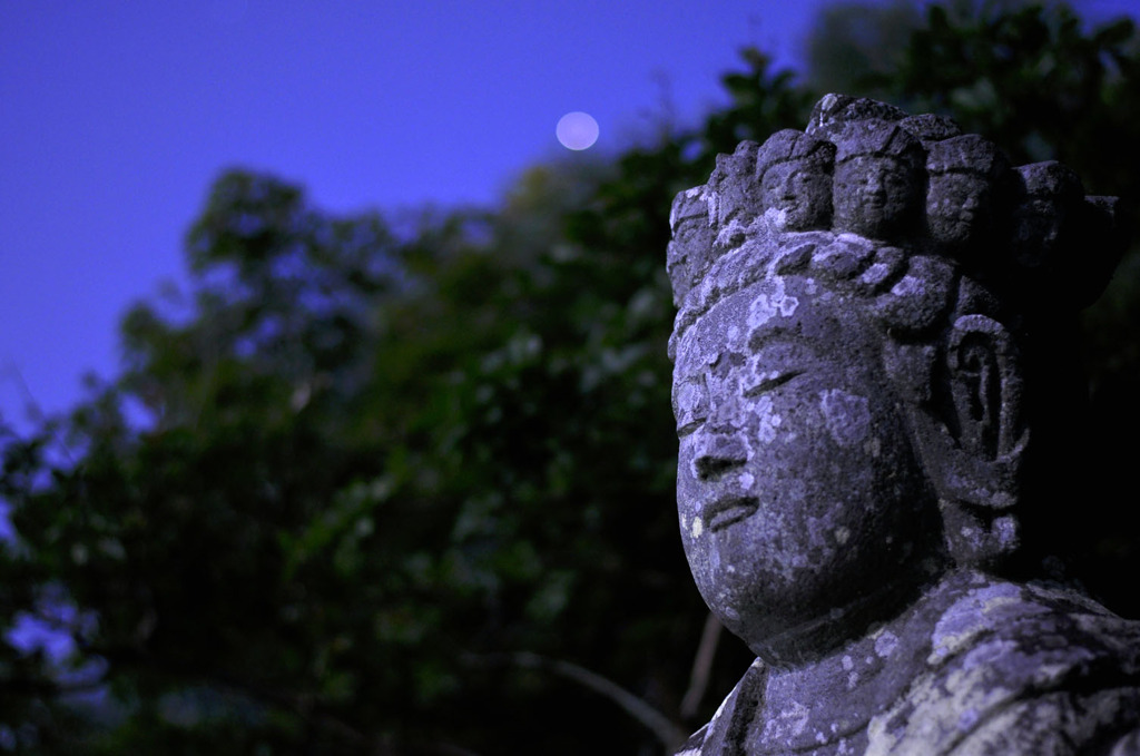 Moon Light Buddha
