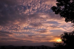 原谷の夕日