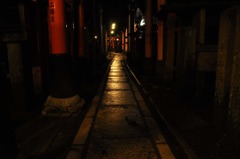 狐のヴァージンロード