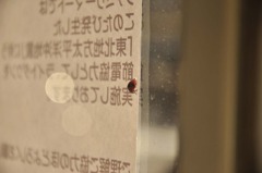 てんとう虫のサンバ