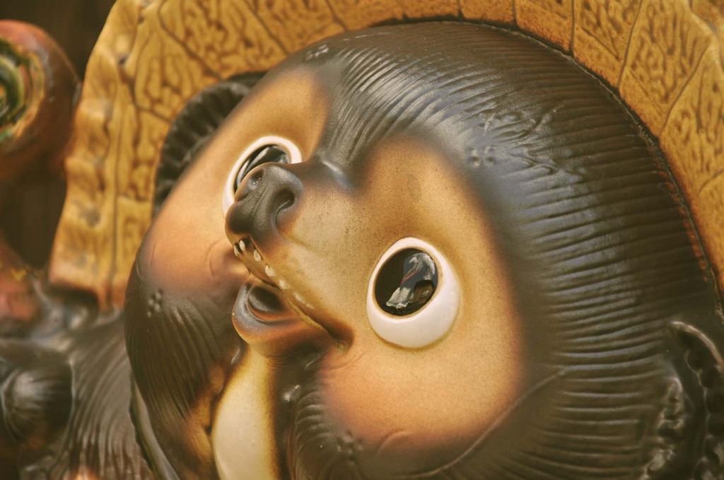 だだっ子ダヌキ