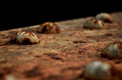 アイアンたこ焼き